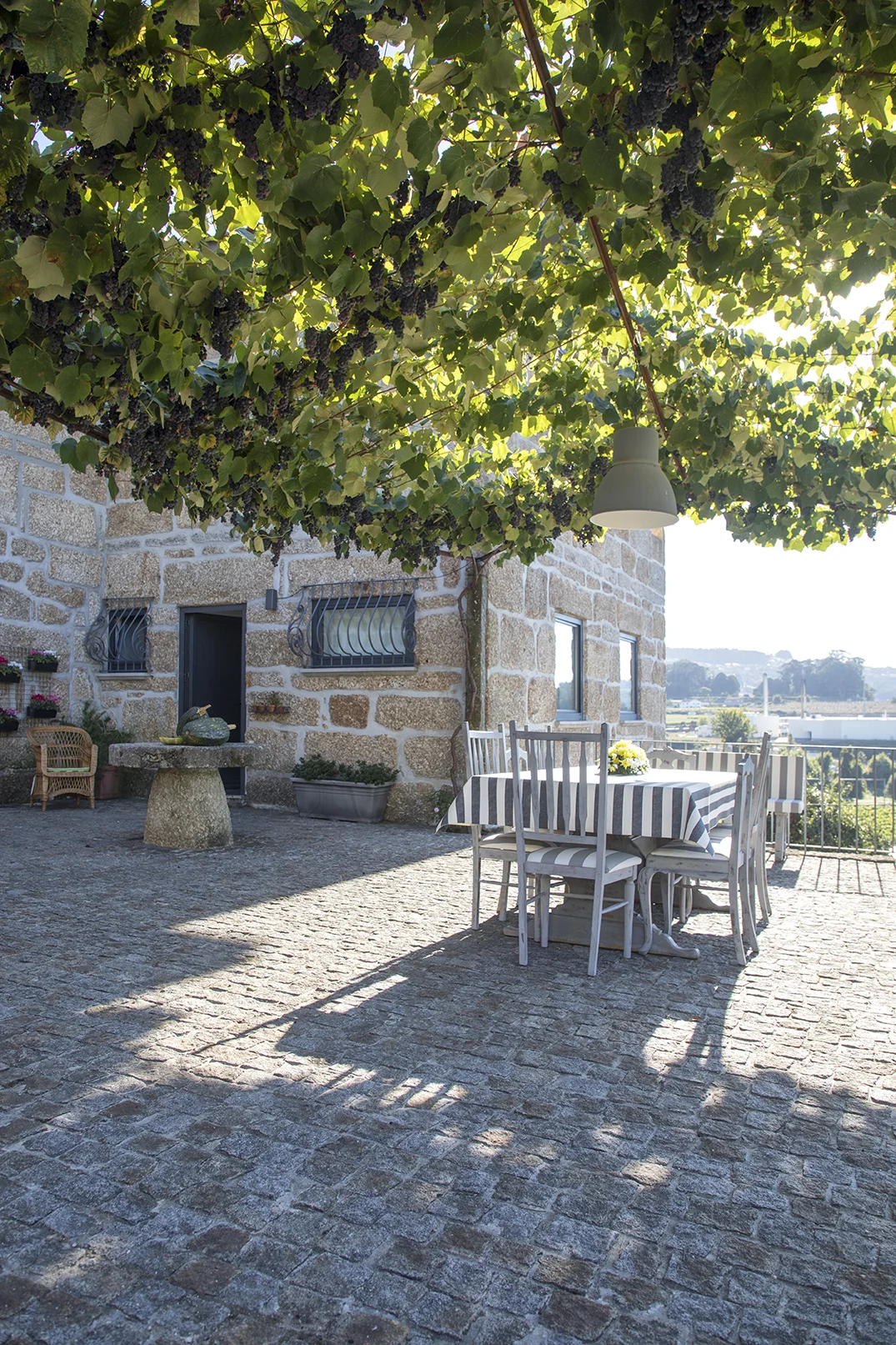 QuintaCasaNova_Caroussel-04