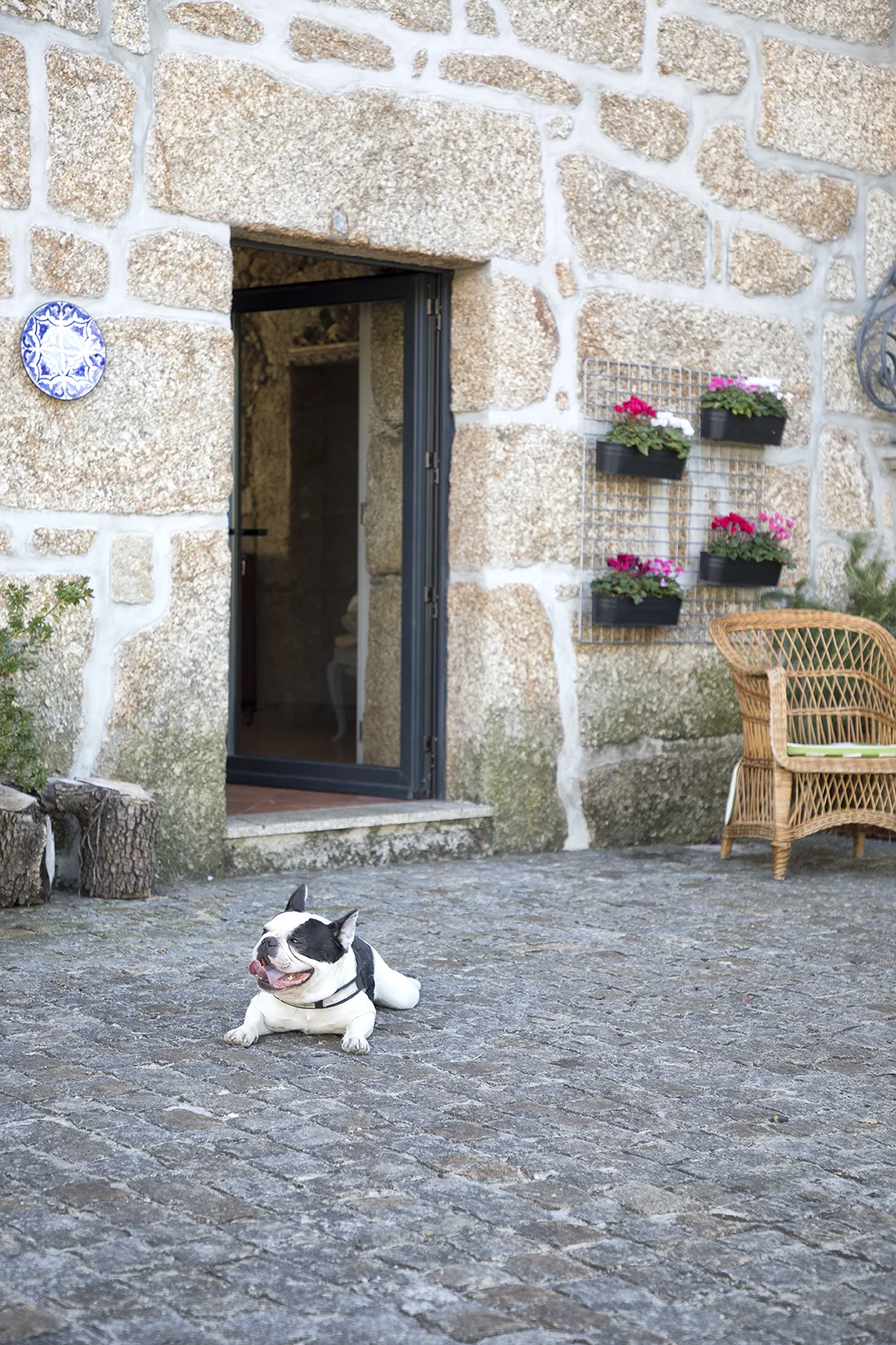 QuintaCasaNova_Caroussel-10